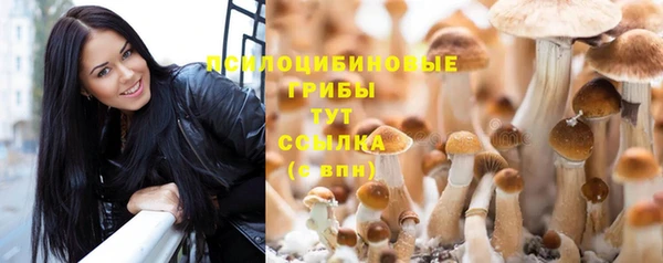 мдпв Осинники
