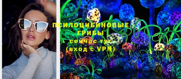винт Данков